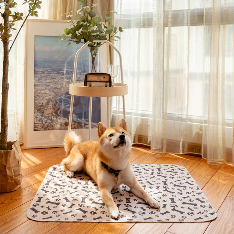 PuppyPad - The Last Pee Pad You'll Get