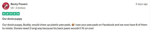 Customer review